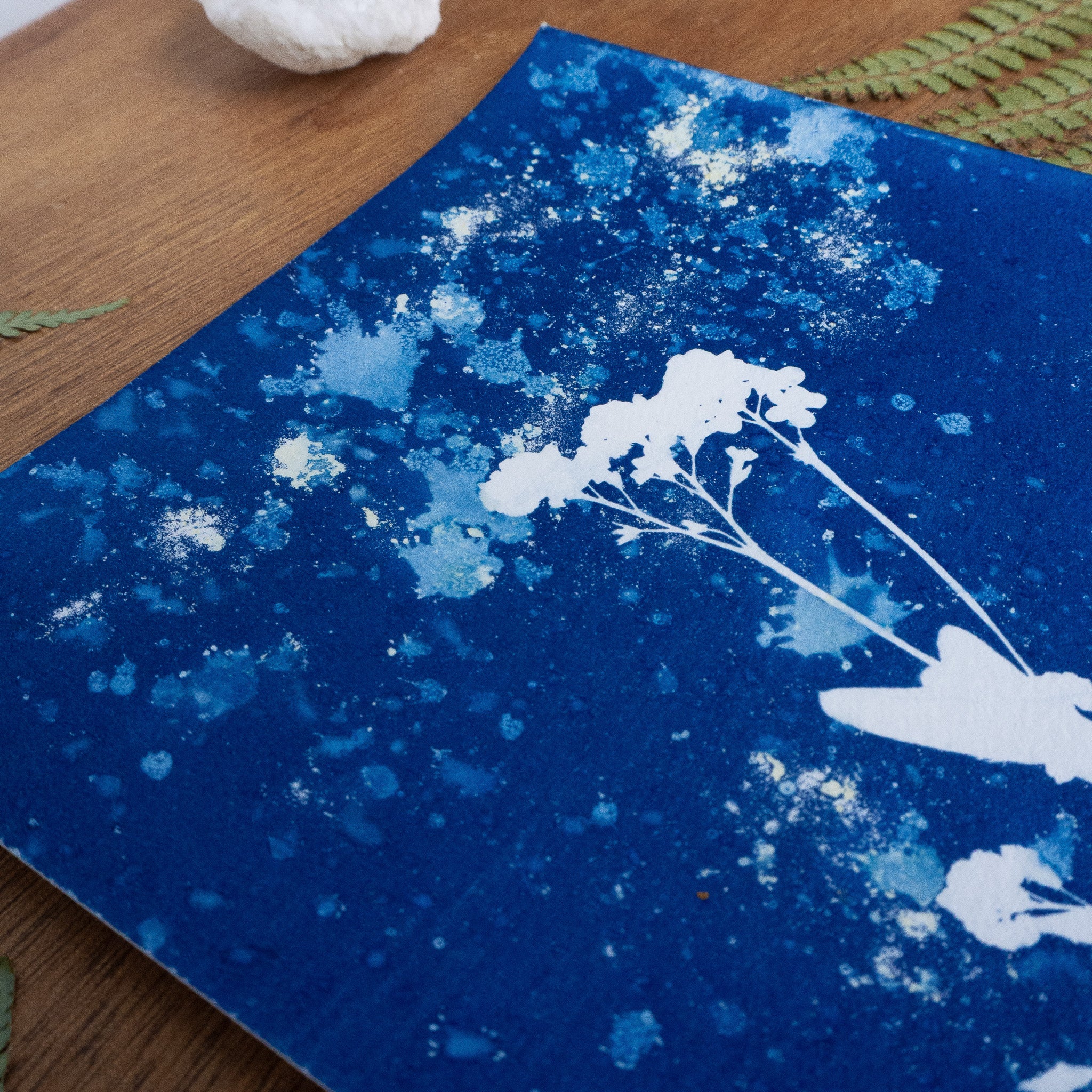 Floraison Bleue - Tirage cyanotype humide original