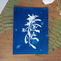 Calme Plat - Tirage cyanotype humide