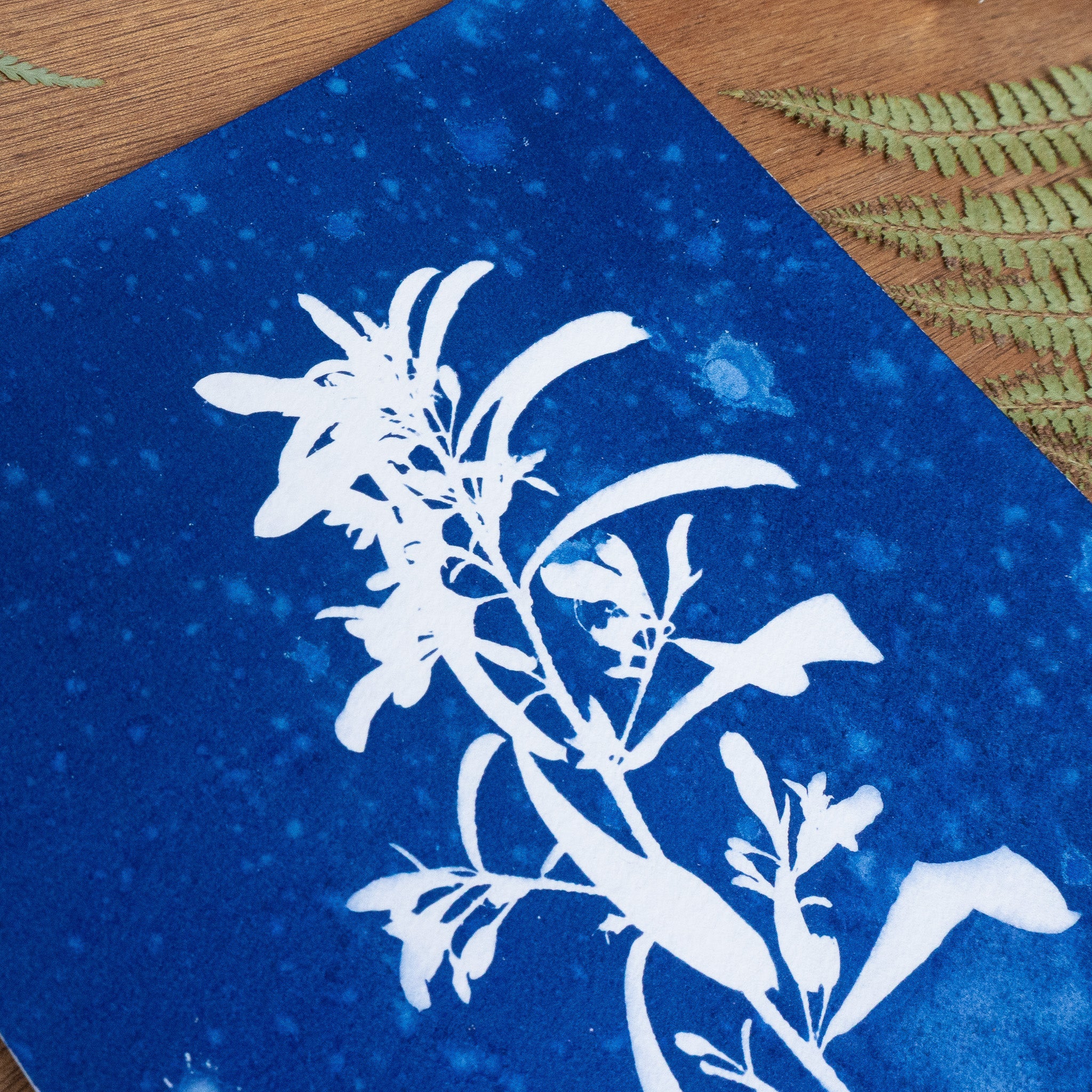 Calme Plat - Tirage cyanotype humide