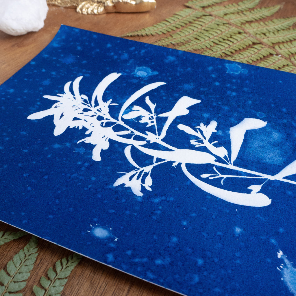 Calme Plat - Tirage cyanotype humide
