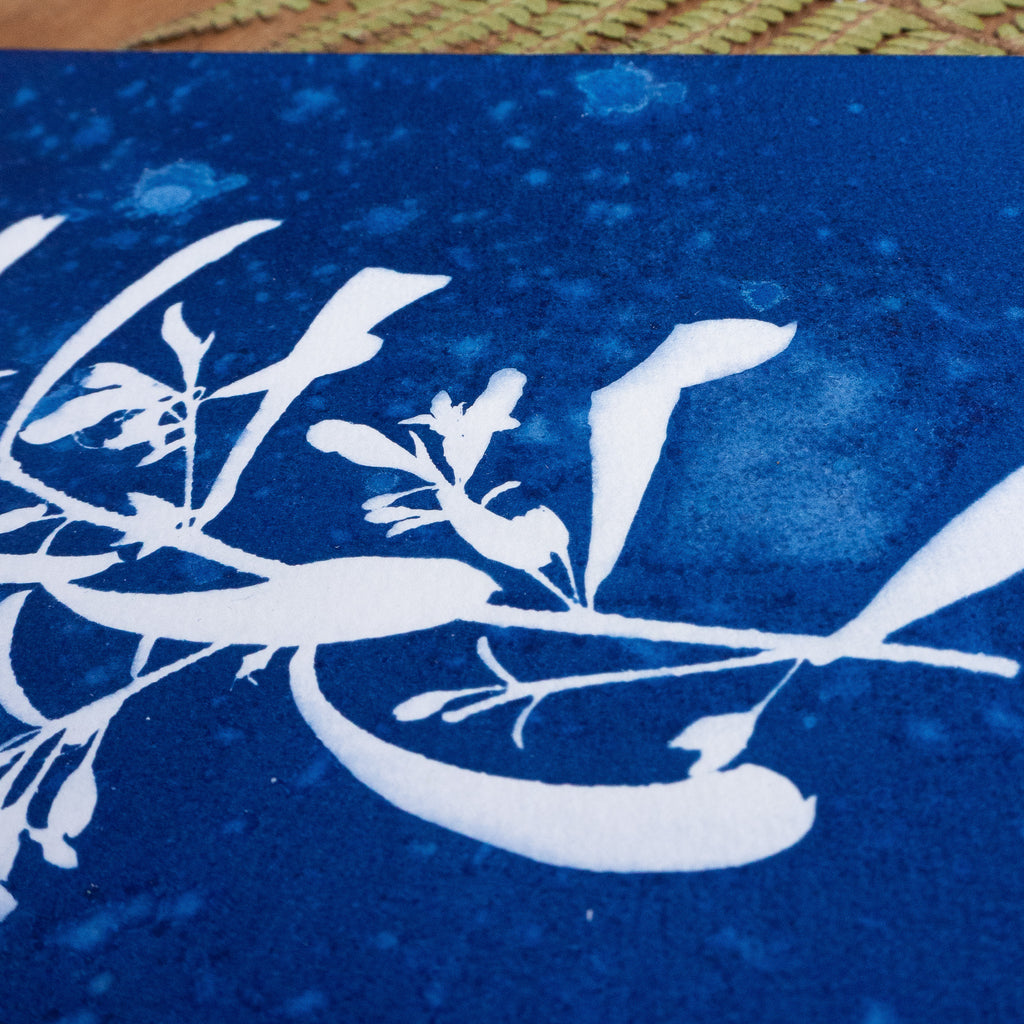 Calme Plat - Tirage cyanotype humide