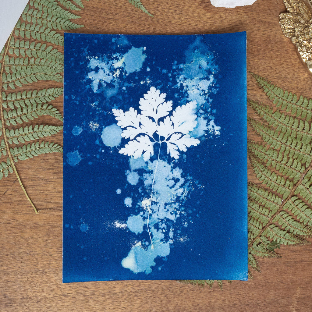 Silence Végétal - Tirage cyanotype humide original