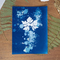 Silence Végétal - Tirage cyanotype humide original