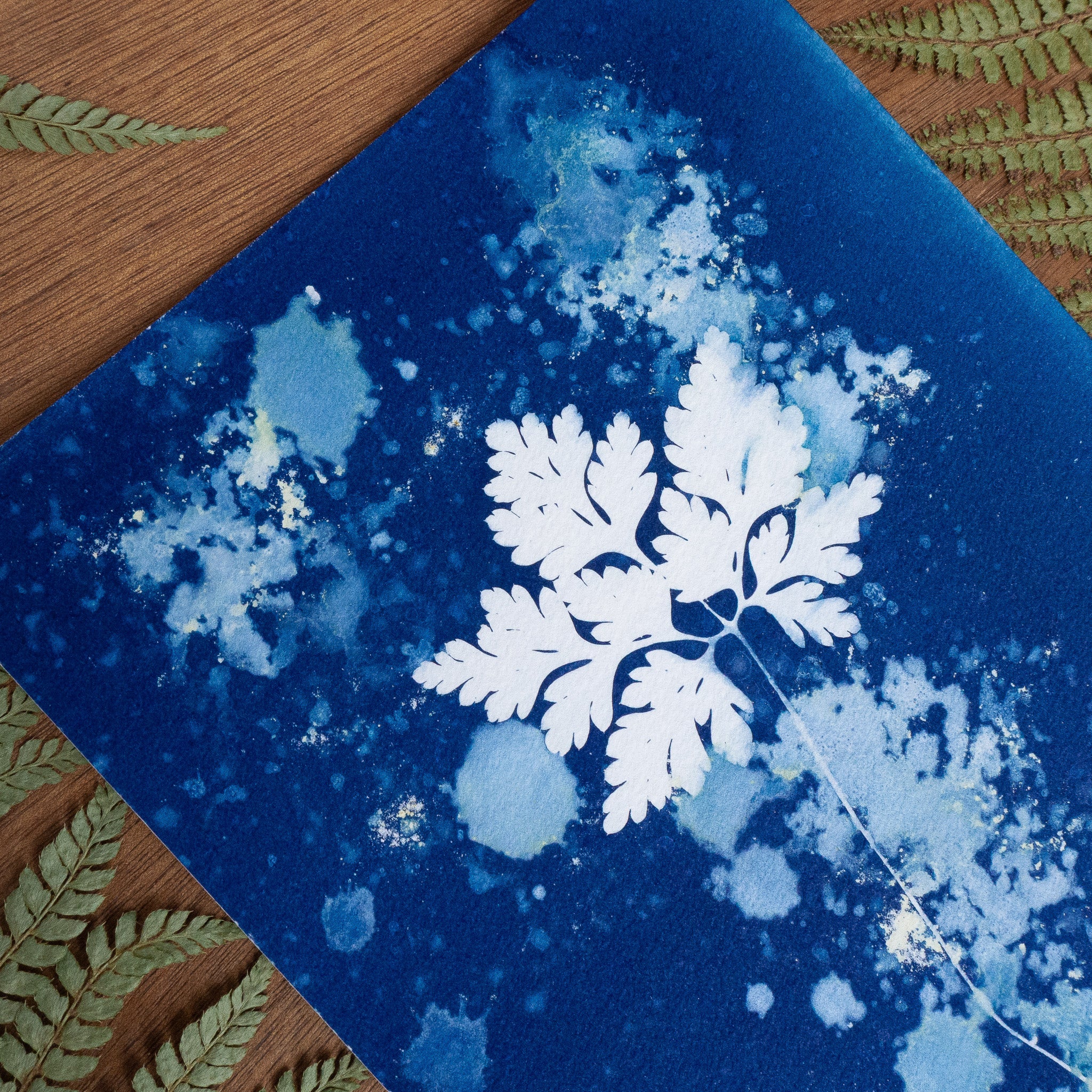 Silence Végétal - Tirage cyanotype humide original