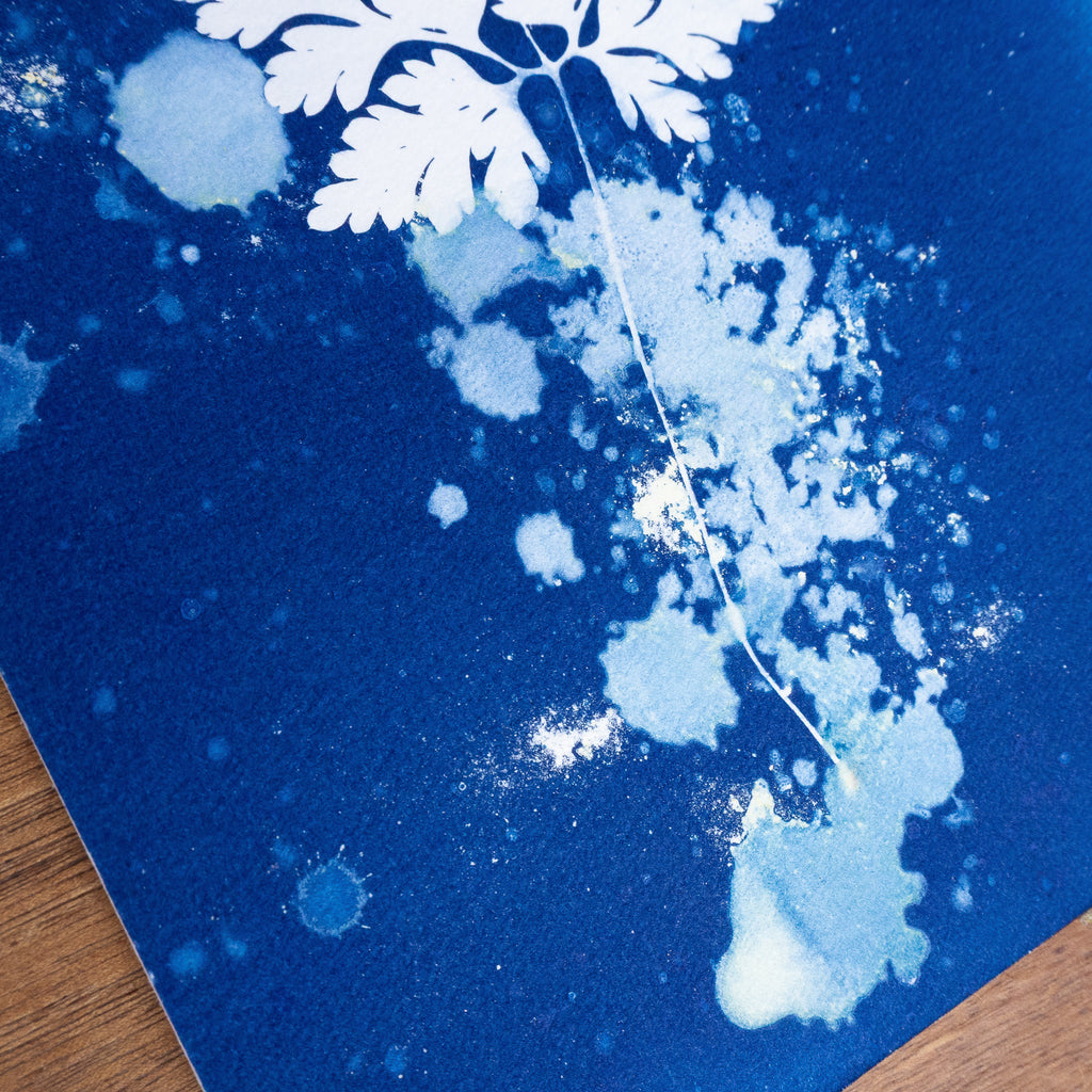 Silence Végétal - Tirage cyanotype humide original