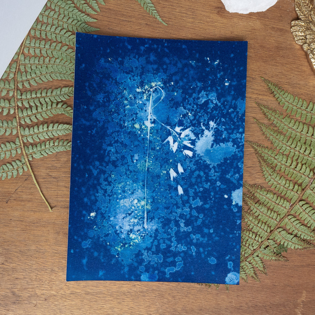 Douceur Froide - Tirage cyanotype humide original