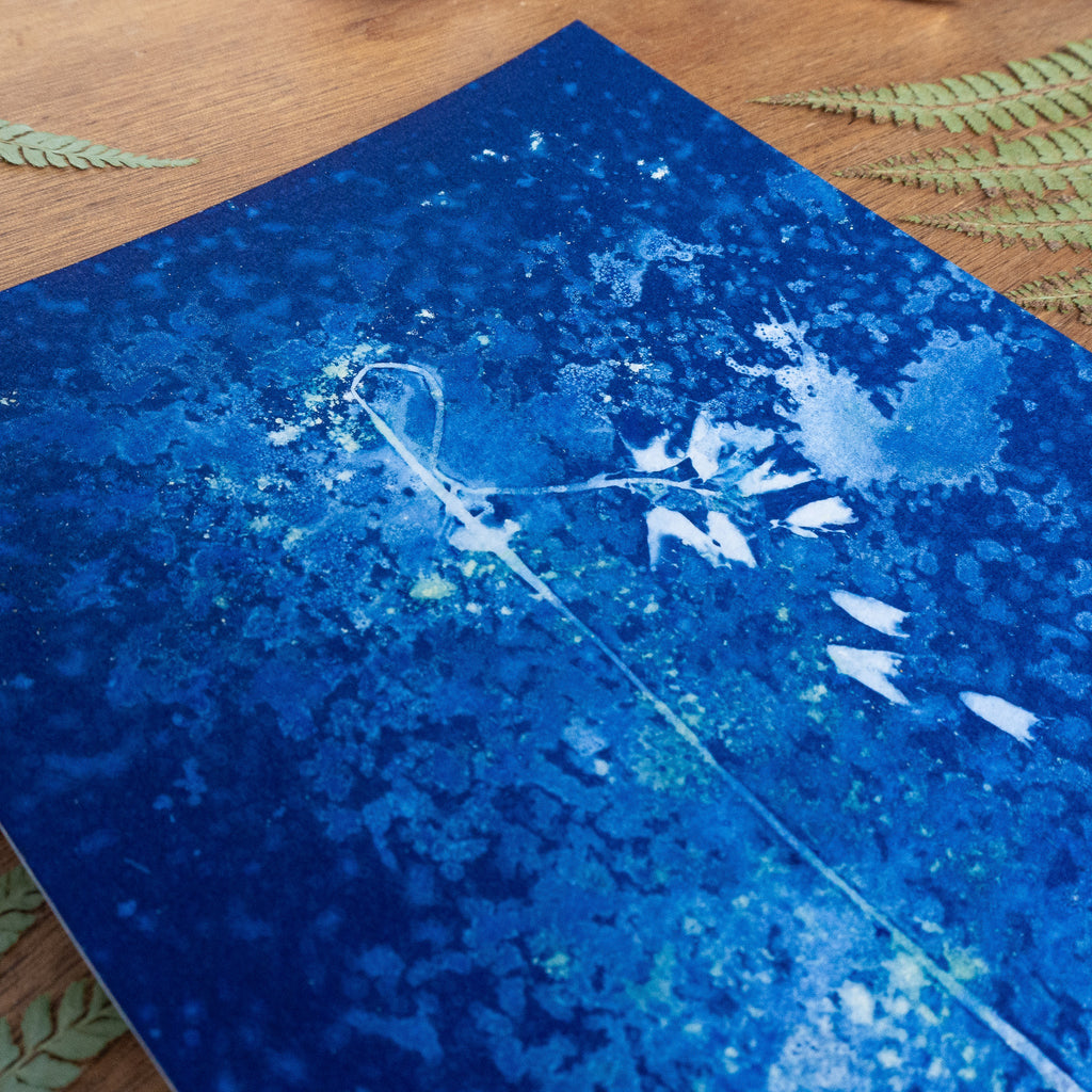Douceur Froide - Tirage cyanotype humide original