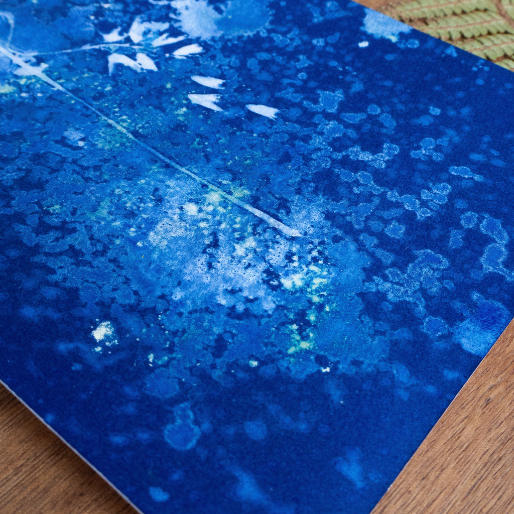 Douceur Froide - Tirage cyanotype humide original