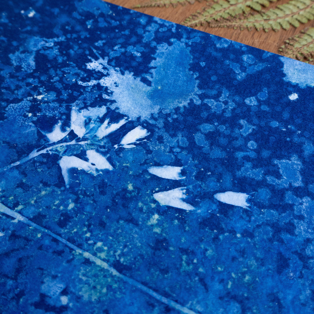 Douceur Froide - Tirage cyanotype humide original