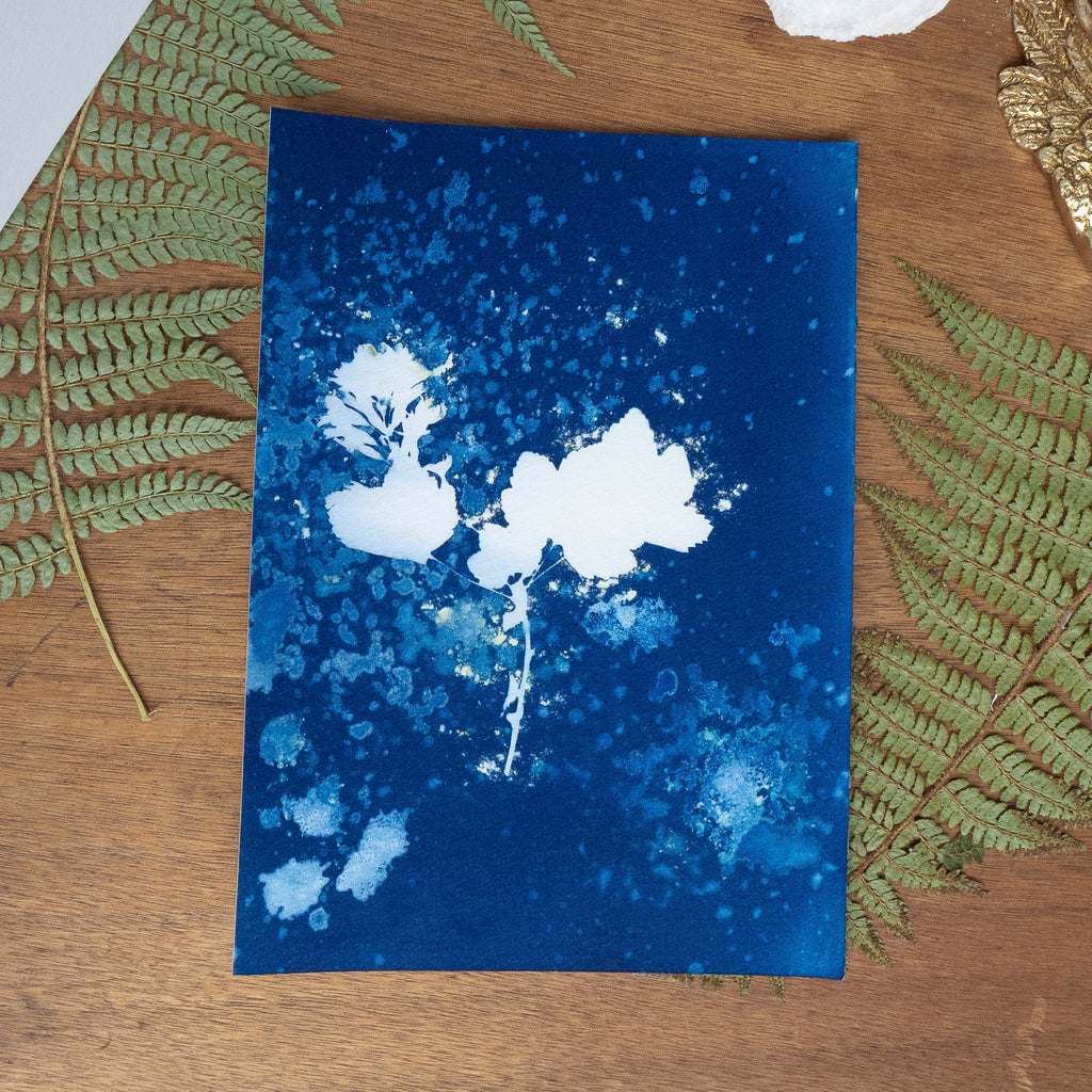 Légèreté - Tirage cyanotype humide original