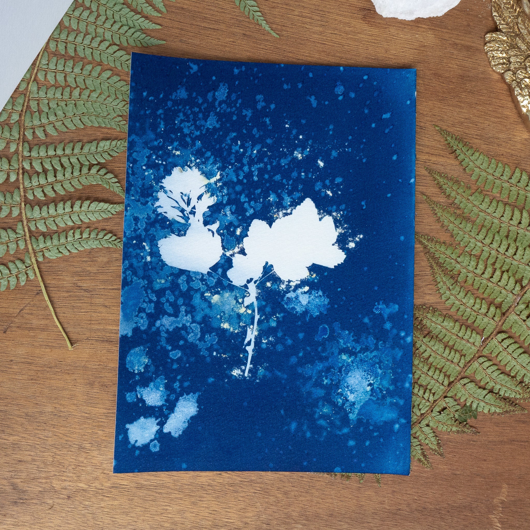 Légèreté - Tirage cyanotype humide original
