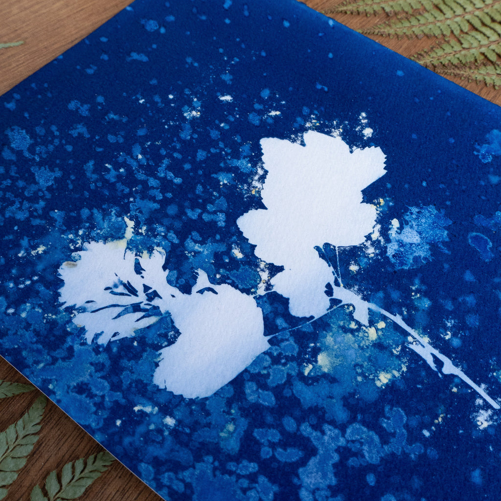 Légèreté - Tirage cyanotype humide original