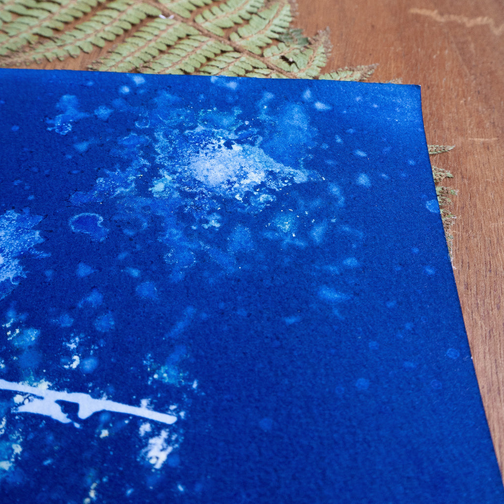 Légèreté - Tirage cyanotype humide original