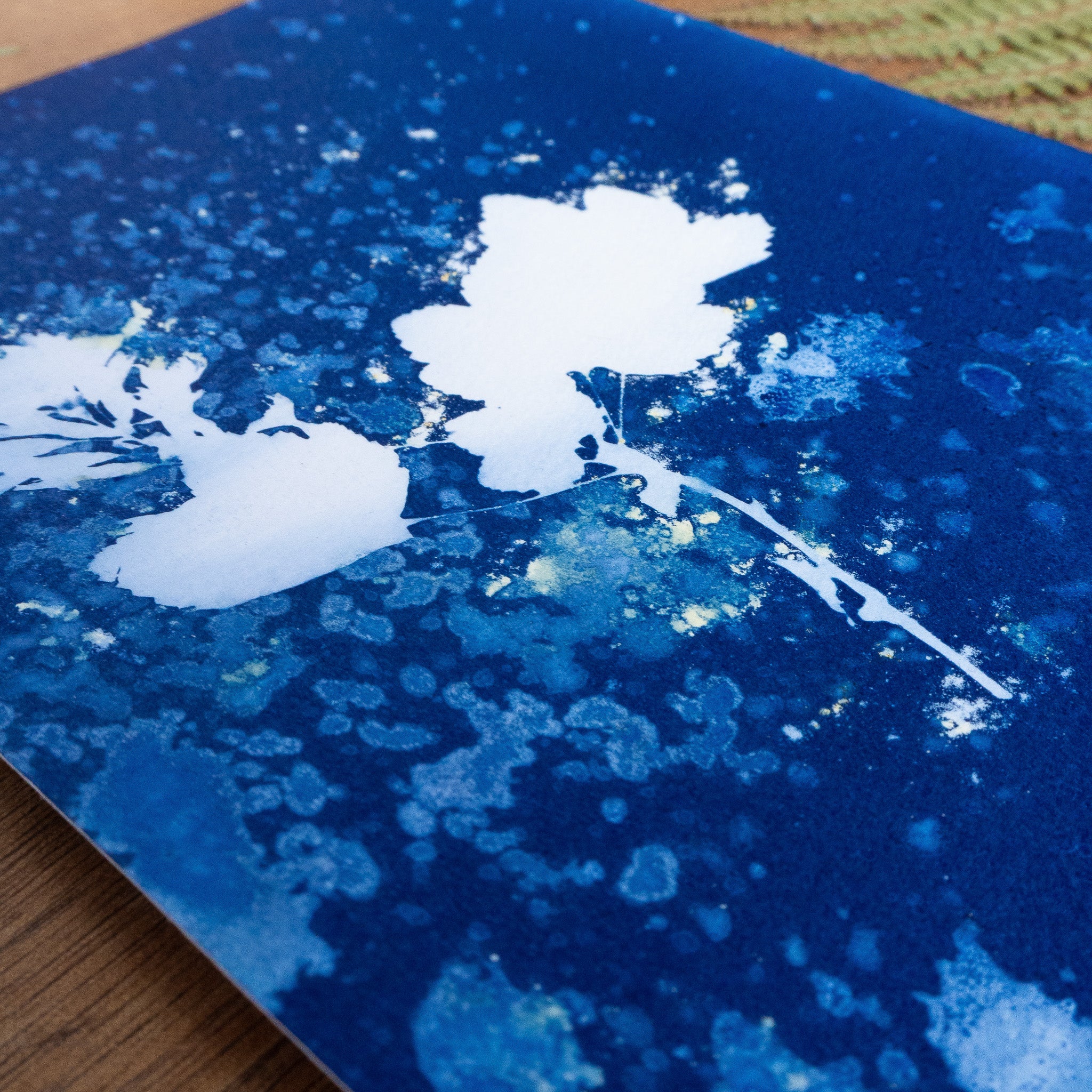 Légèreté - Tirage cyanotype humide original