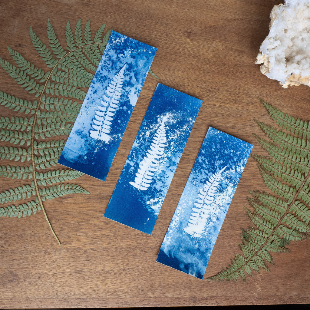 Set de 3 Marques-page 2 - Fougère sur tirage cyanotype humide