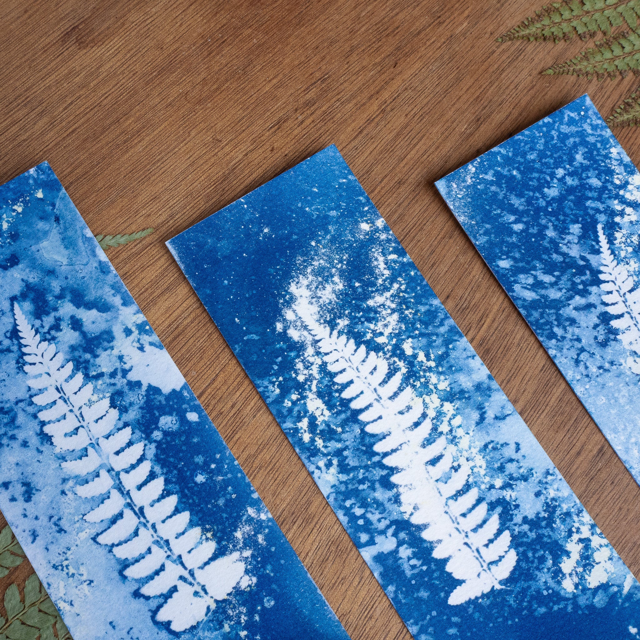 Set de 3 Marques-page 2 - Fougère sur tirage cyanotype humide