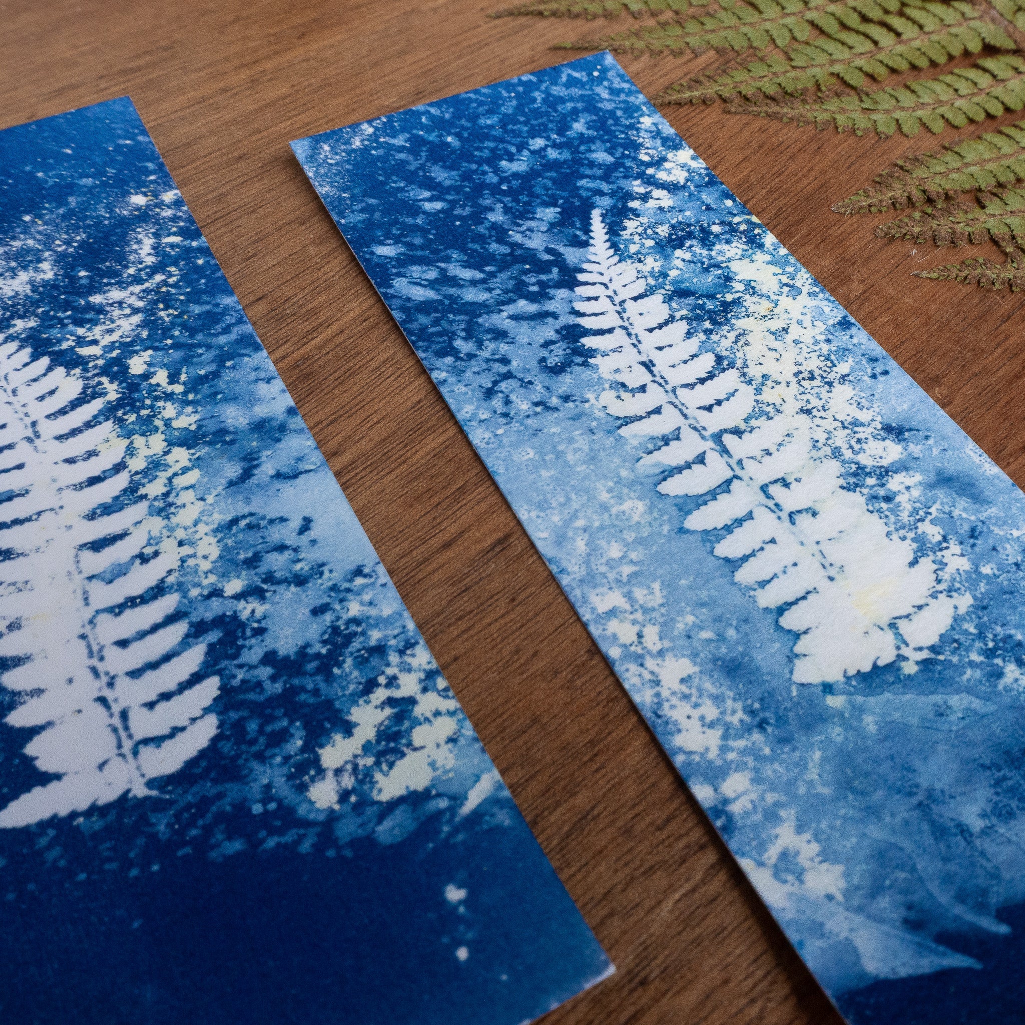 Set de 3 Marques-page 2 - Fougère sur tirage cyanotype humide