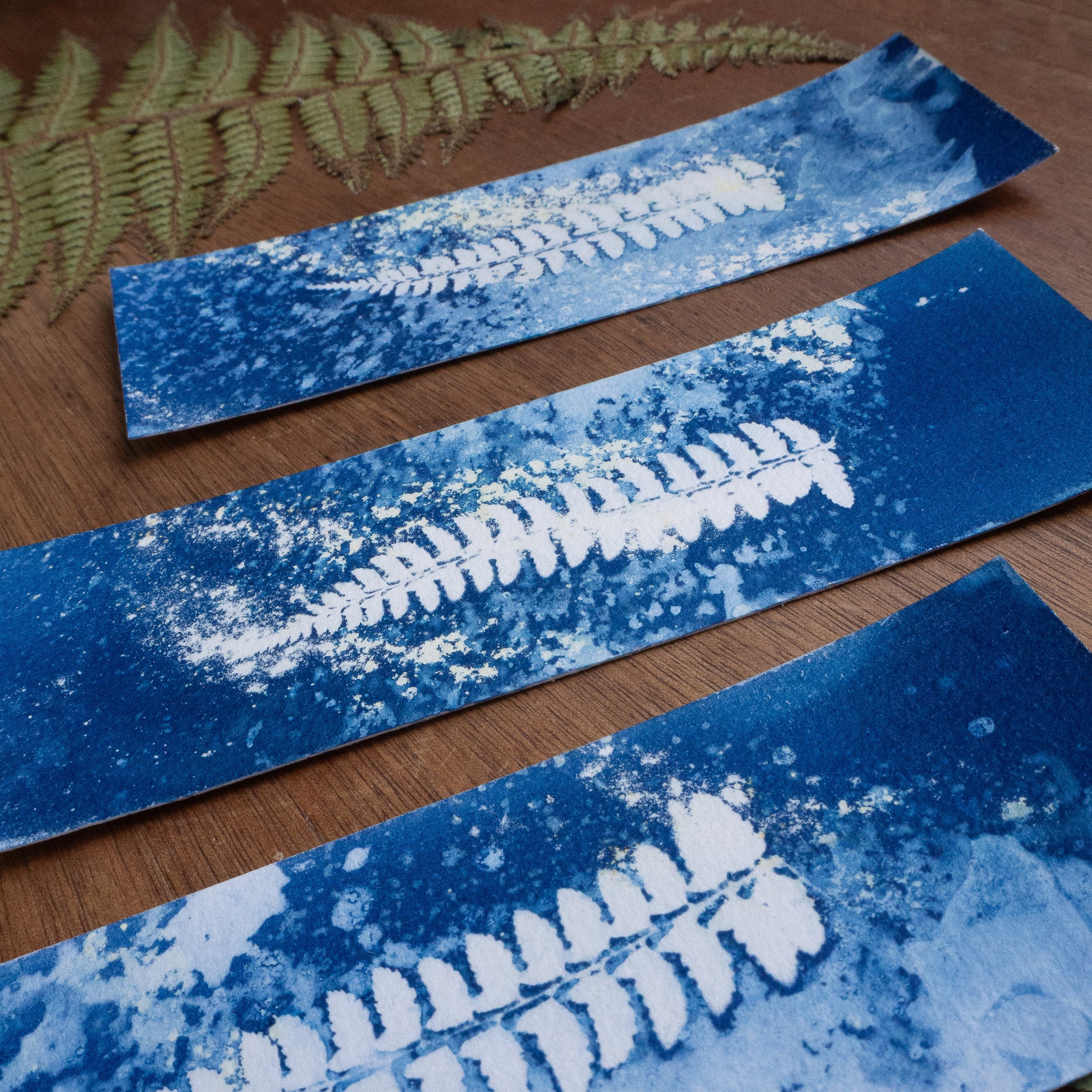 Set de 3 Marques-page 2 - Fougère sur tirage cyanotype humide