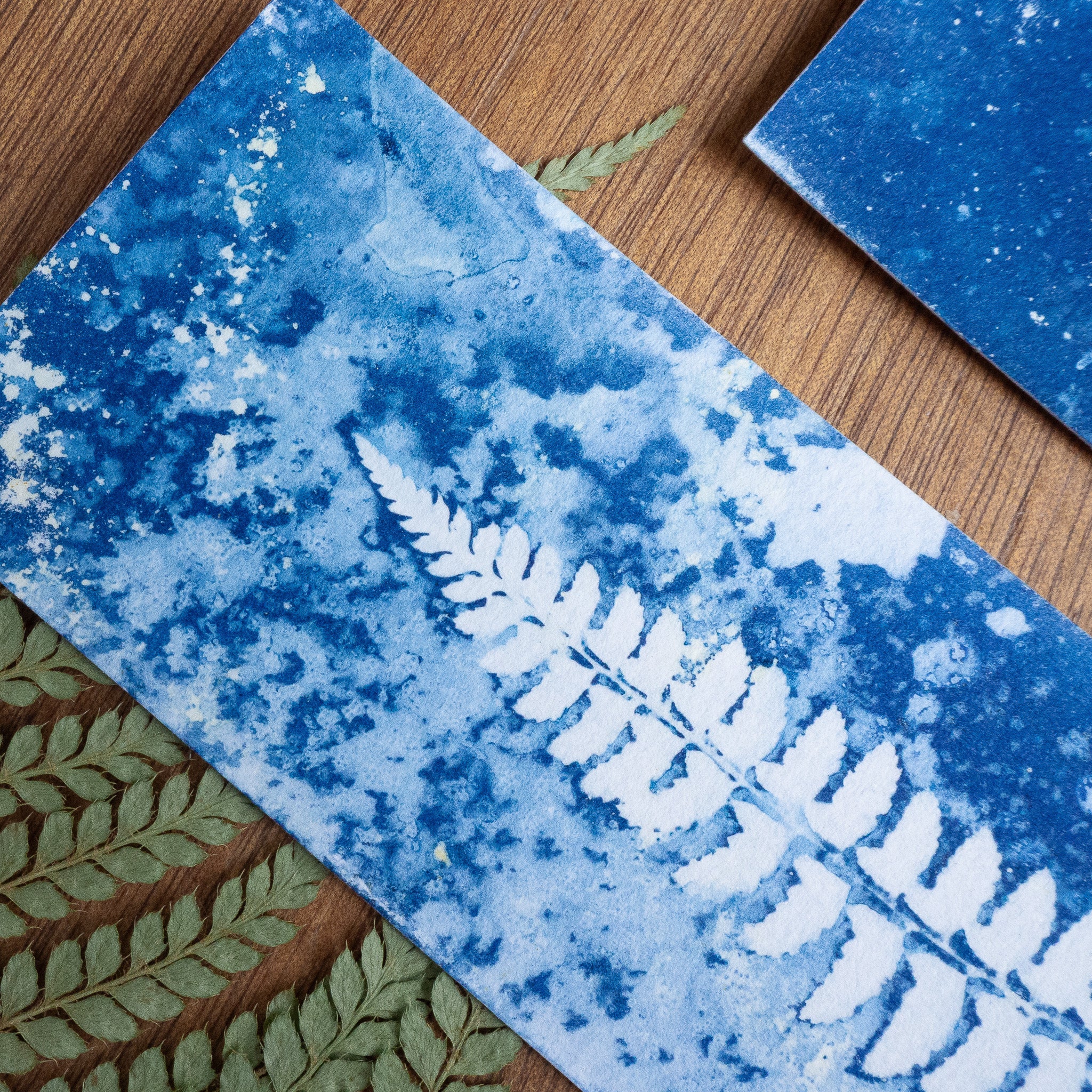 Set de 3 Marques-page 2 - Fougère sur tirage cyanotype humide