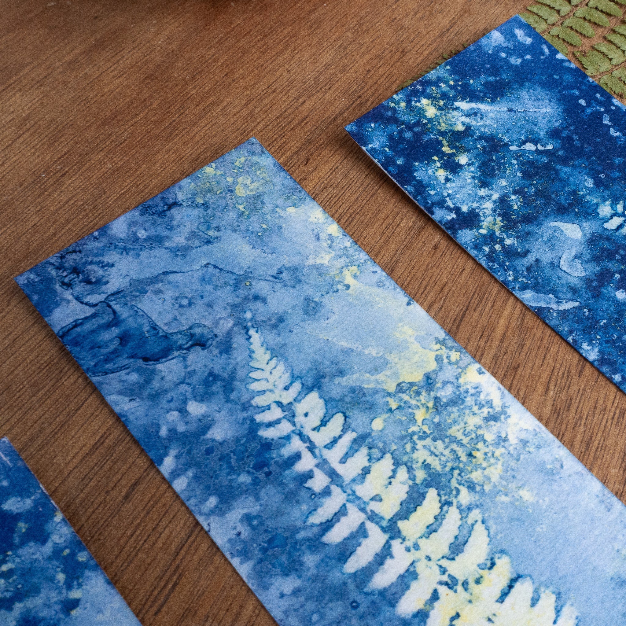 Set de 3 Marques-page 1 - Fougère sur tirage cyanotype humide
