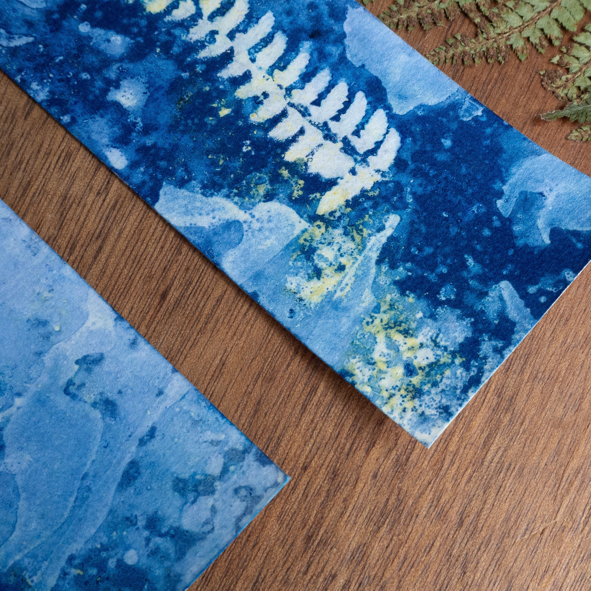 Set de 3 Marques-page 1 - Fougère sur tirage cyanotype humide