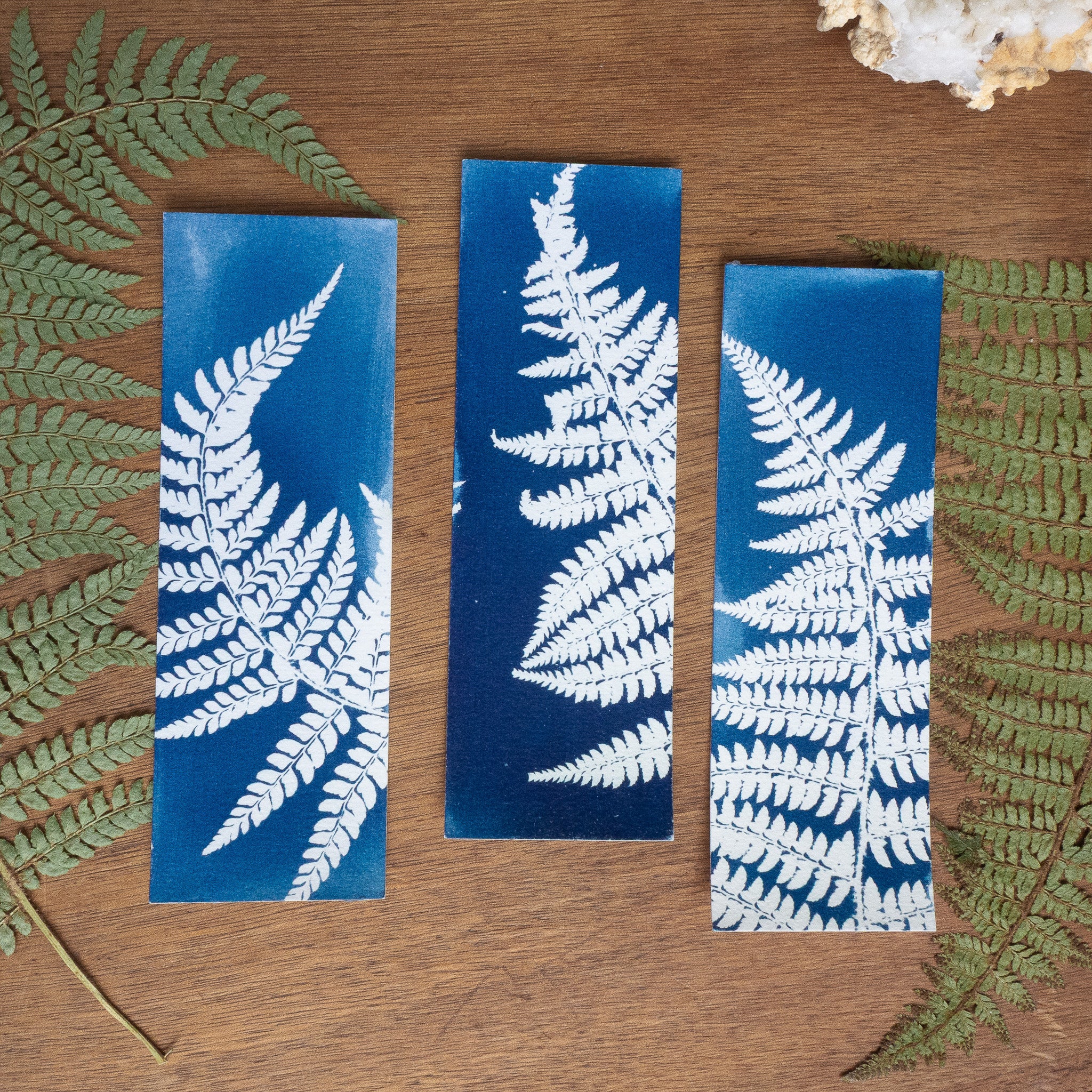 Set de 3 Marques-page 1 - Fougère sur cyanotype original