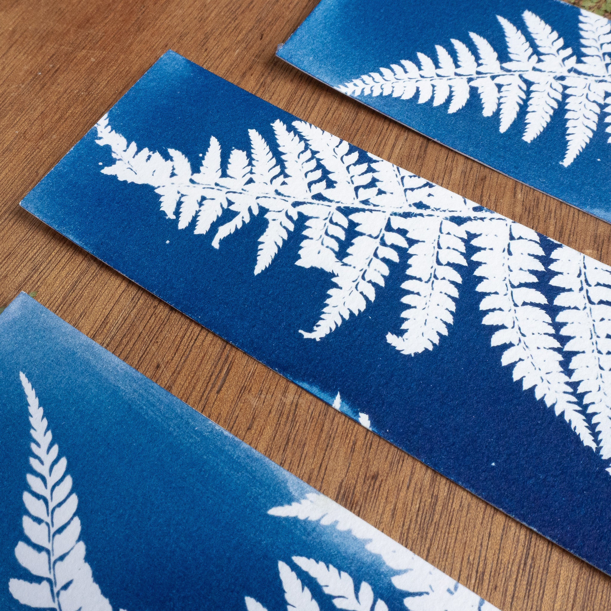 Set de 3 Marques-page 1 - Fougère sur cyanotype original