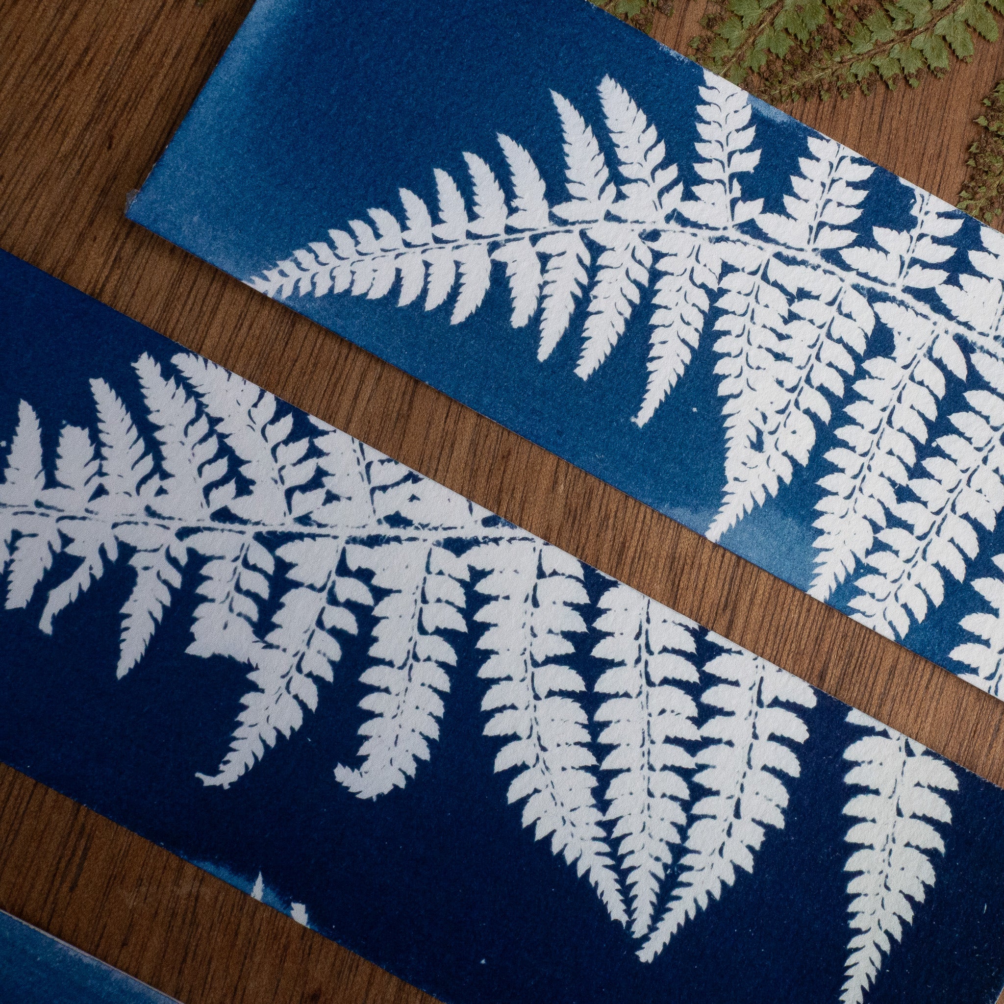 Set de 3 Marques-page 1 - Fougère sur cyanotype original