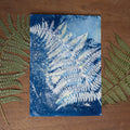 Fougère 2 - Tirage cyanotype humide original