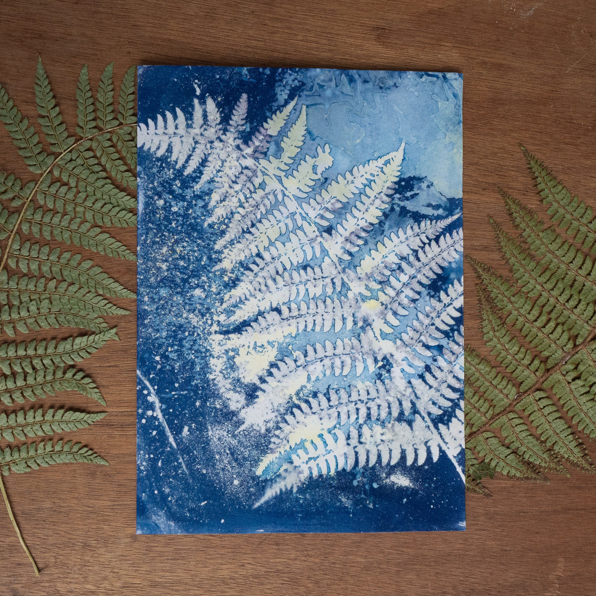 Fougère 2 - Tirage cyanotype humide original