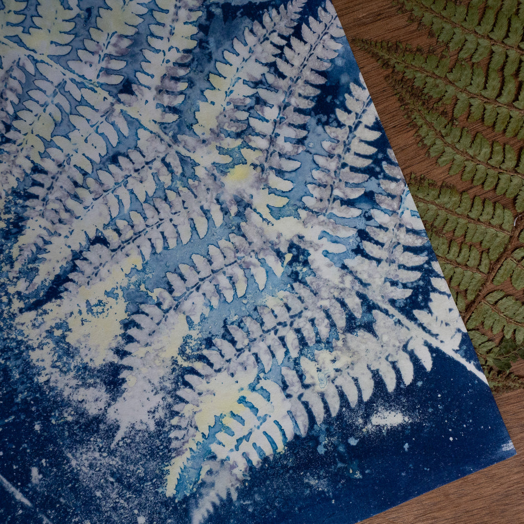 Fougère 2 - Tirage cyanotype humide original