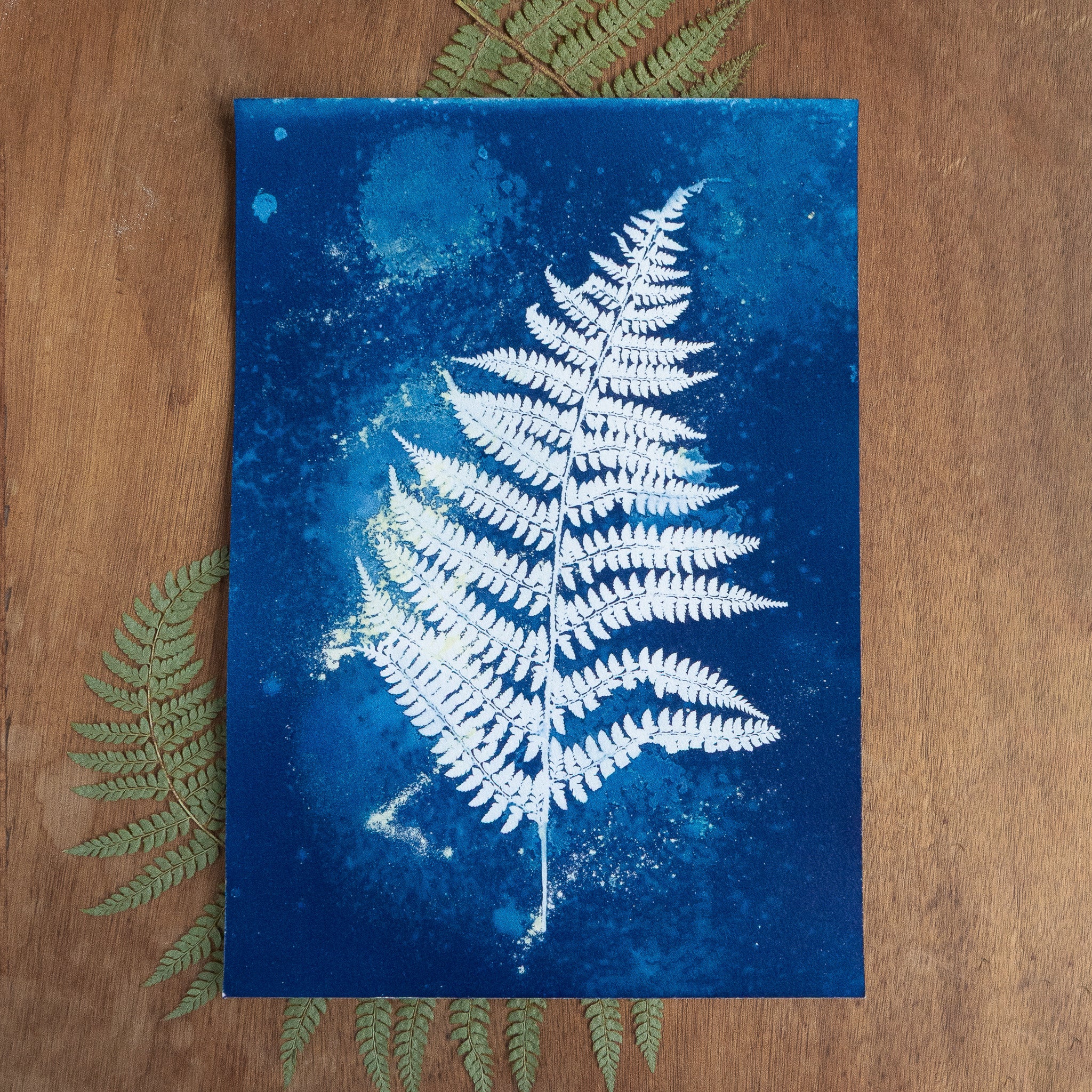 Fougère 1 - Tirage cyanotype humide original