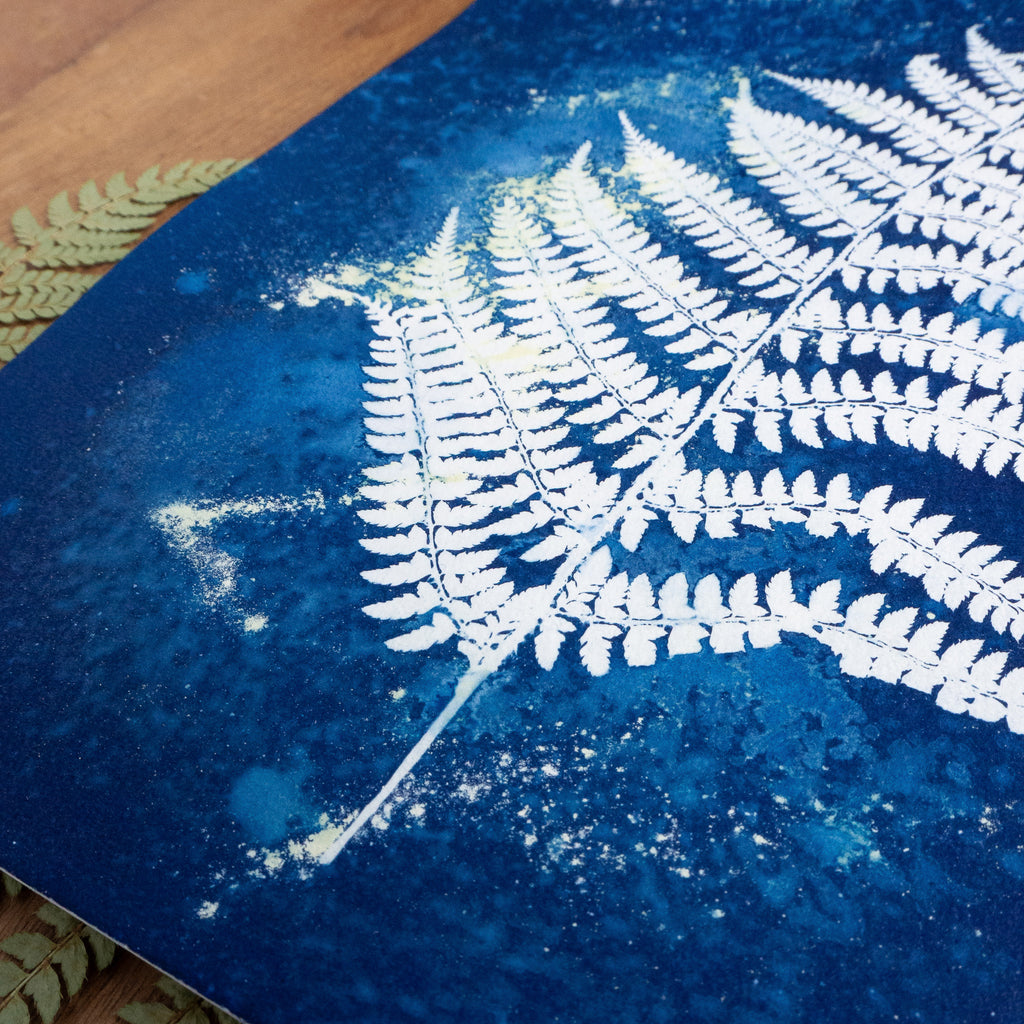 Fougère 1 - Tirage cyanotype humide original