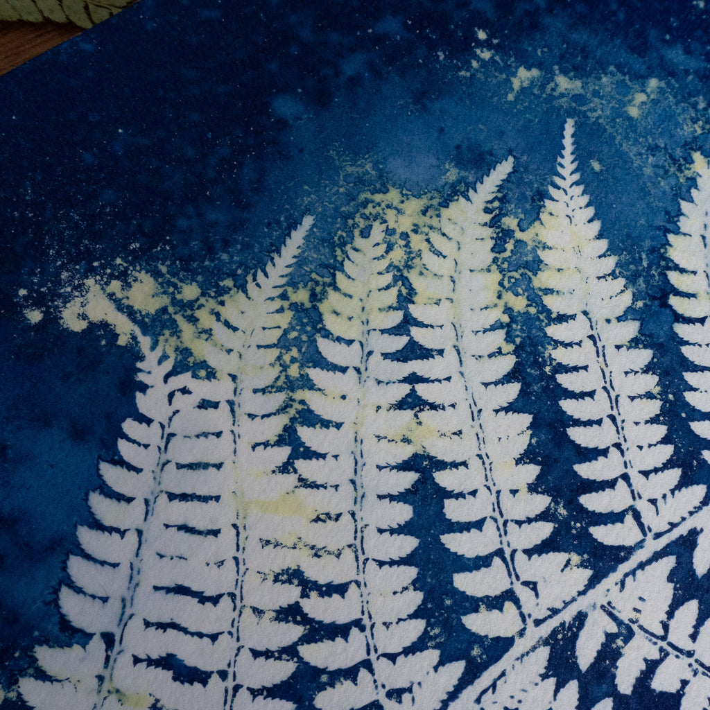 Fougère 1 - Tirage cyanotype humide original