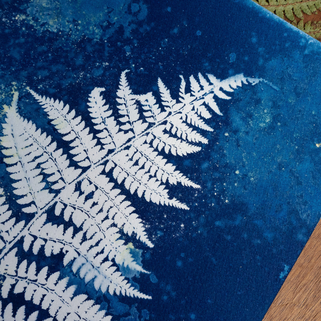 Fougère 1 - Tirage cyanotype humide original