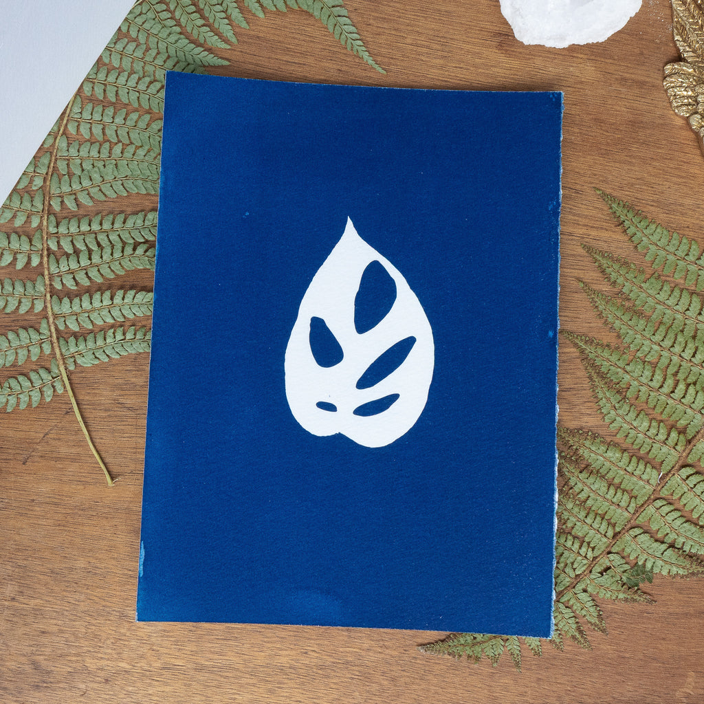 Monstera Adansonii - Tirage cyanotype original
