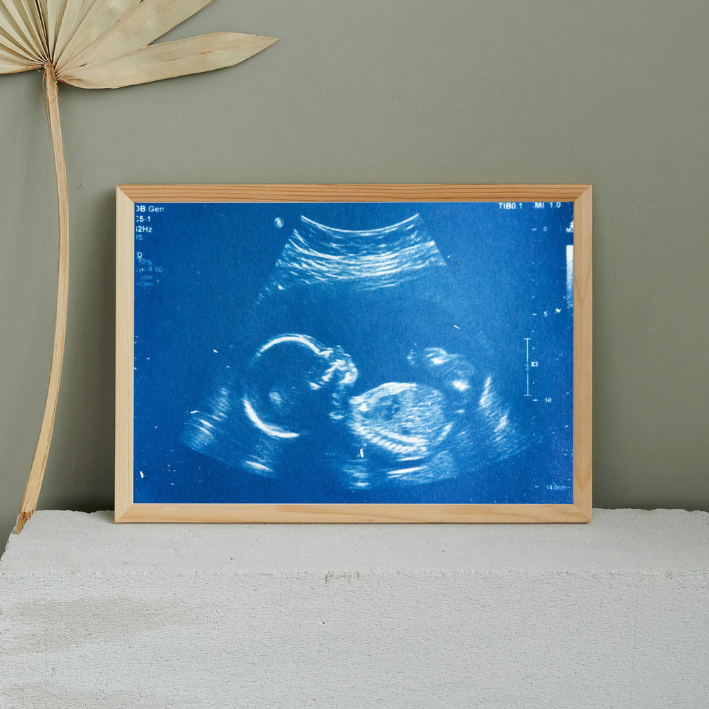 Annonces en cyanotype - à partir de votre photographie