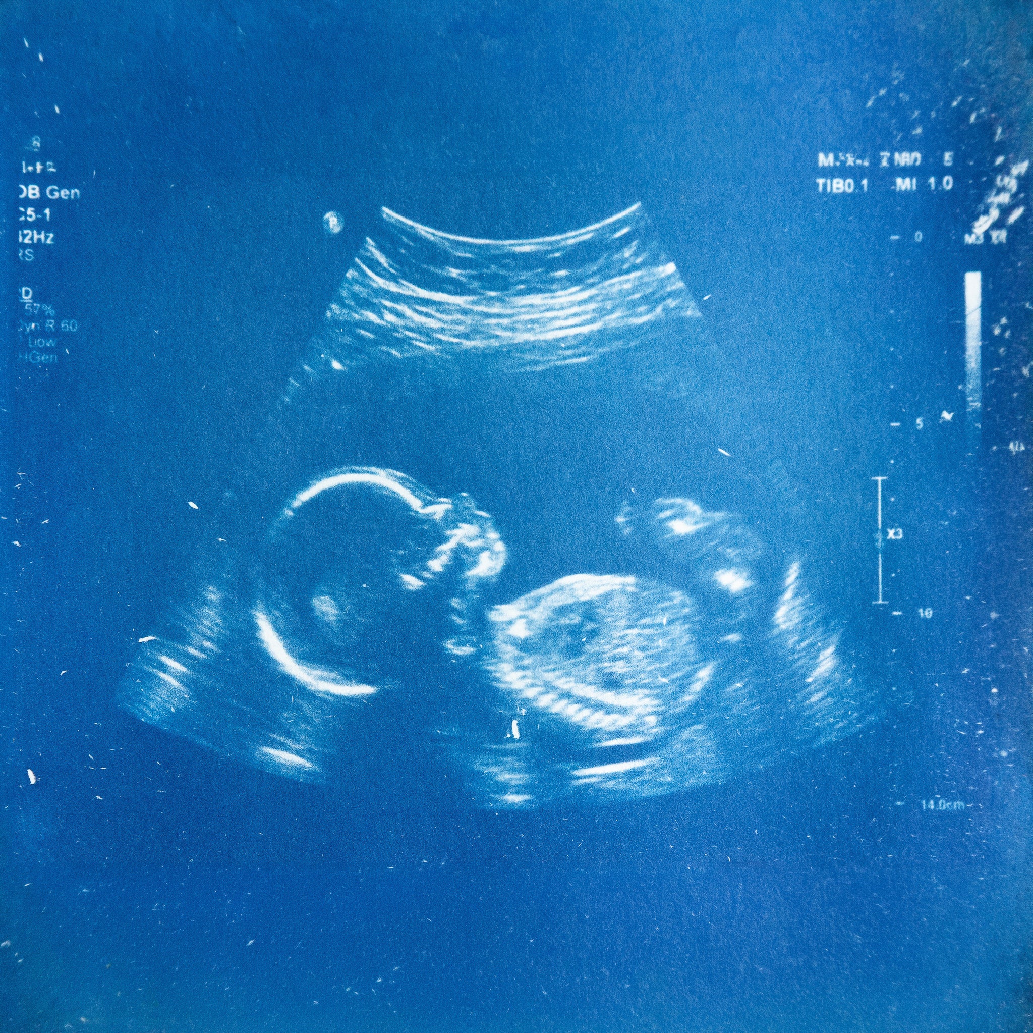 Annonces en cyanotype - à partir de votre photographie