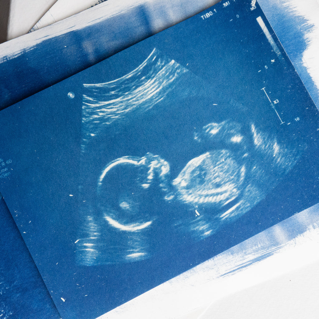 Annonces en cyanotype - à partir de votre photographie