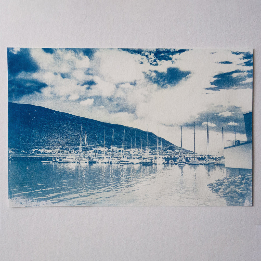 Paysage en cyanotype - à partir de votre photographie