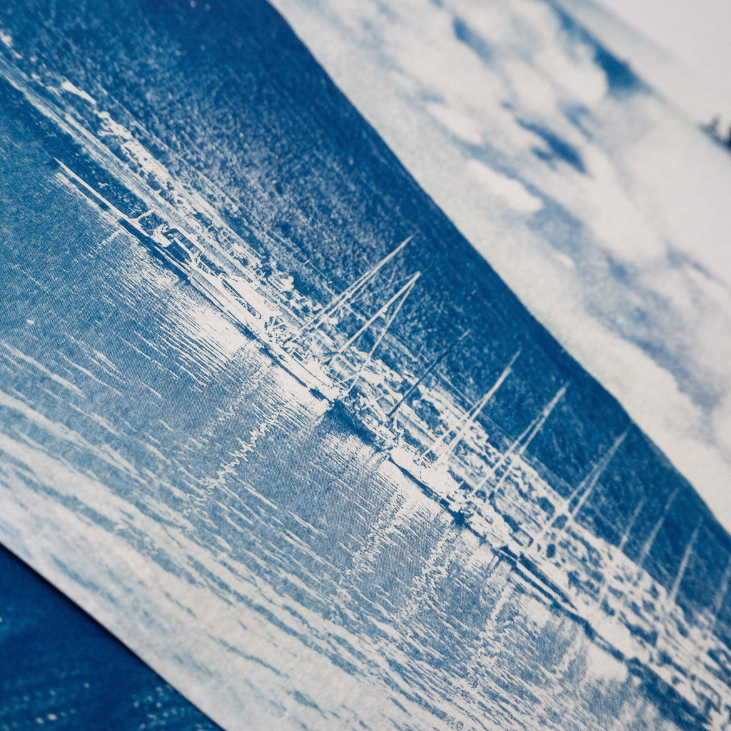 Paysage en cyanotype - à partir de votre photographie