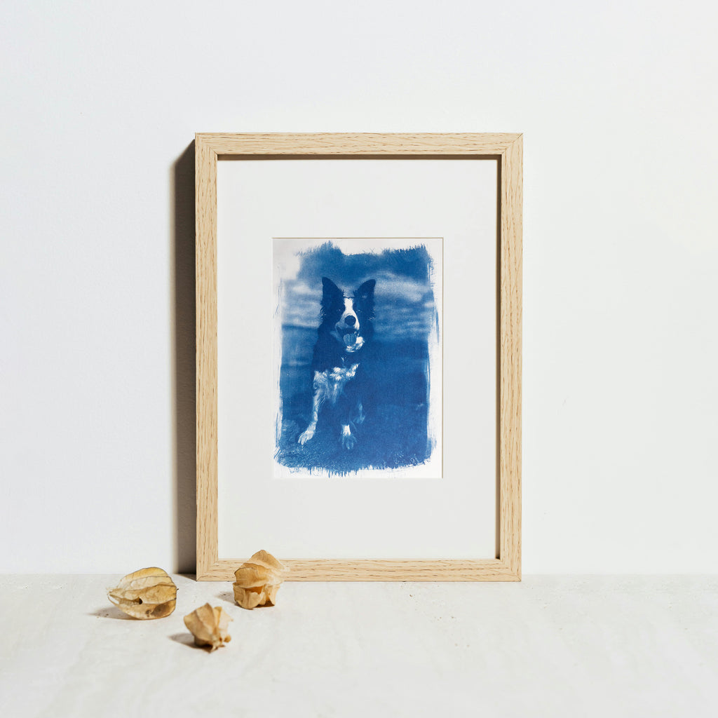 Votre animal en cyanotype - à partir de votre photographie