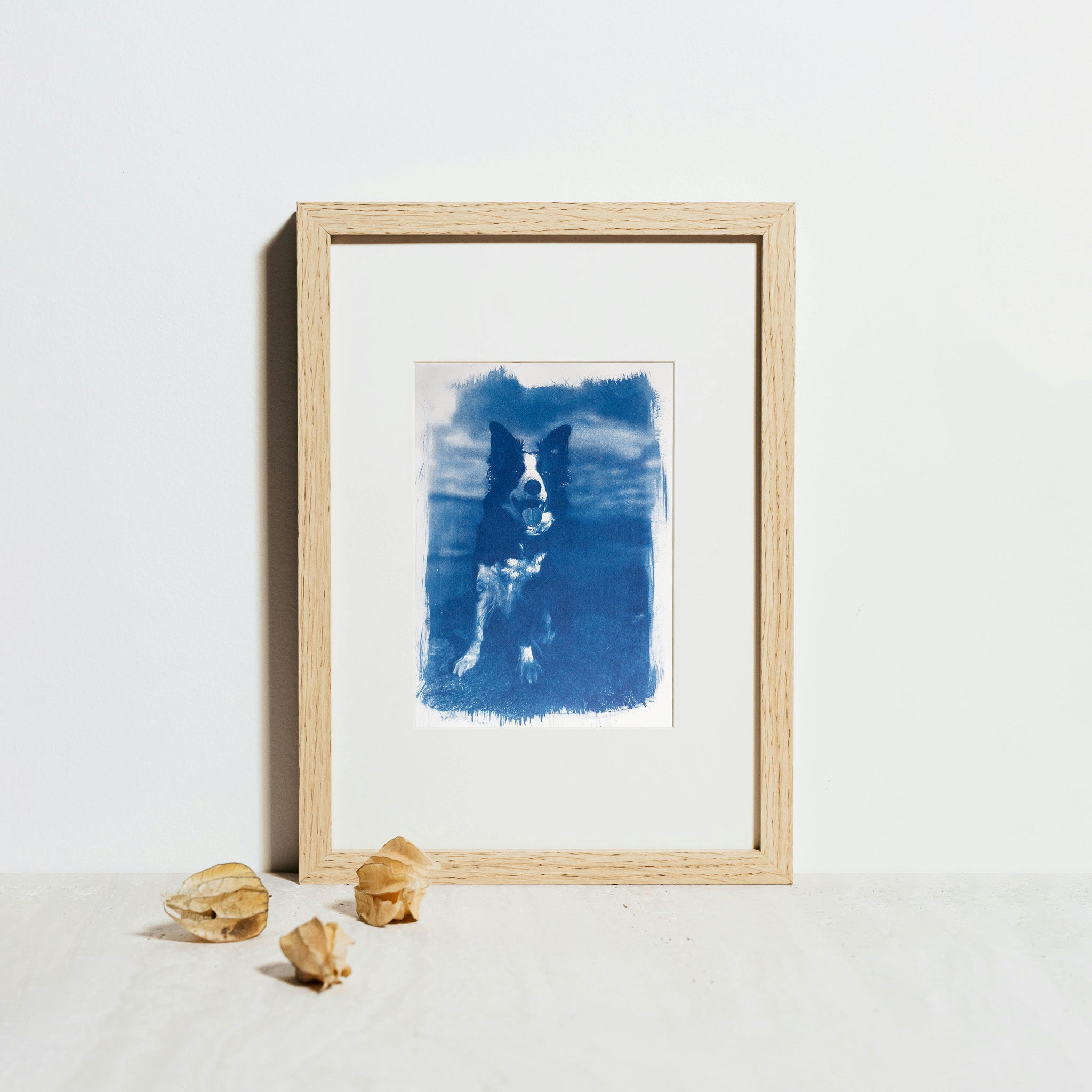 Votre animal en cyanotype - à partir de votre photographie