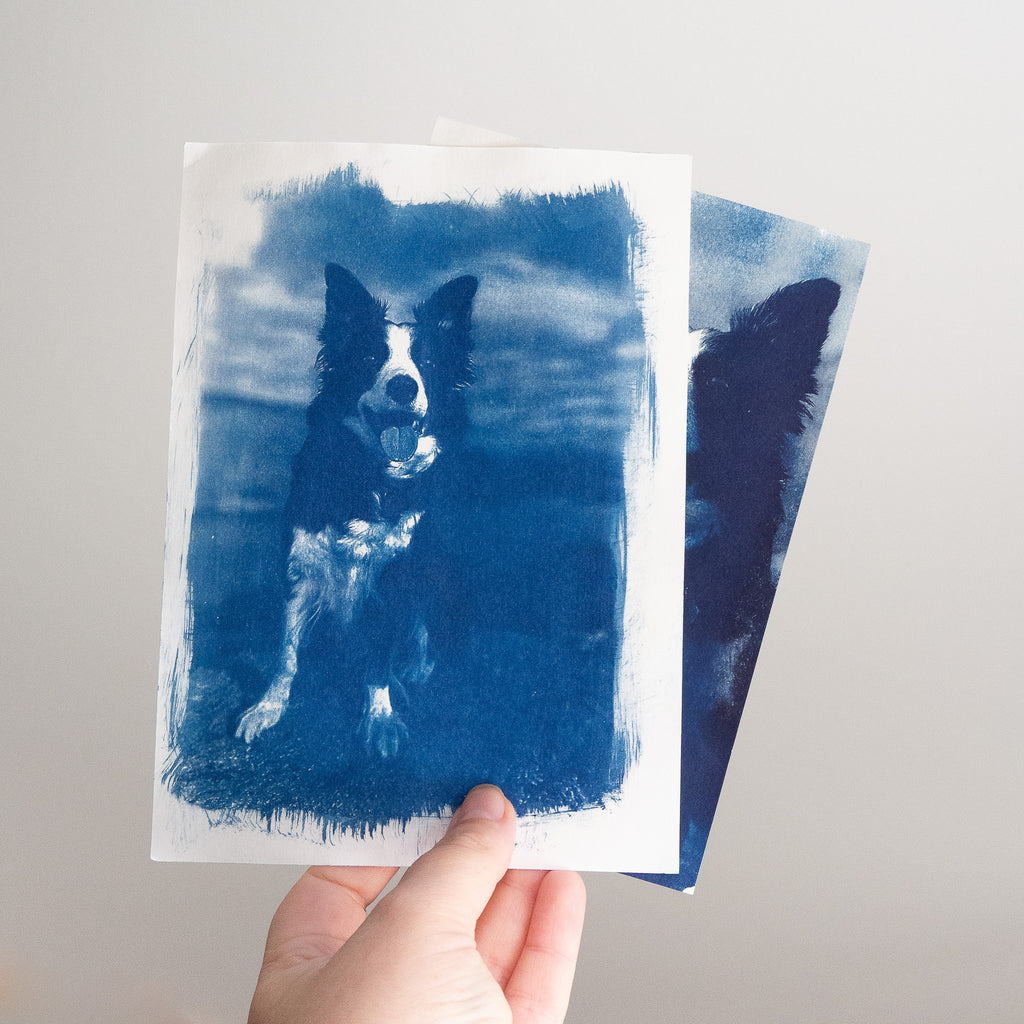 Votre animal en cyanotype - à partir de votre photographie