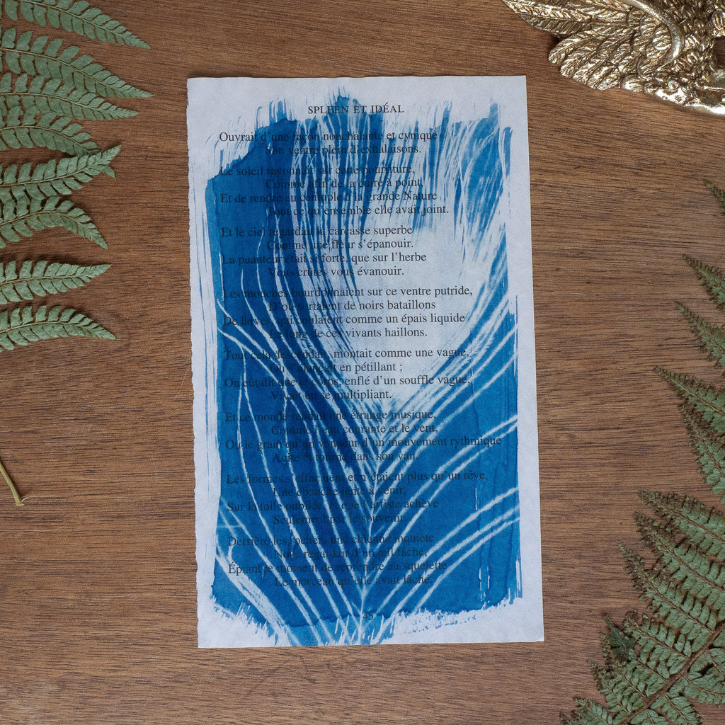 Cyanotype sur poésie - Les Fleurs Du Mal / Spleen Et Idéal