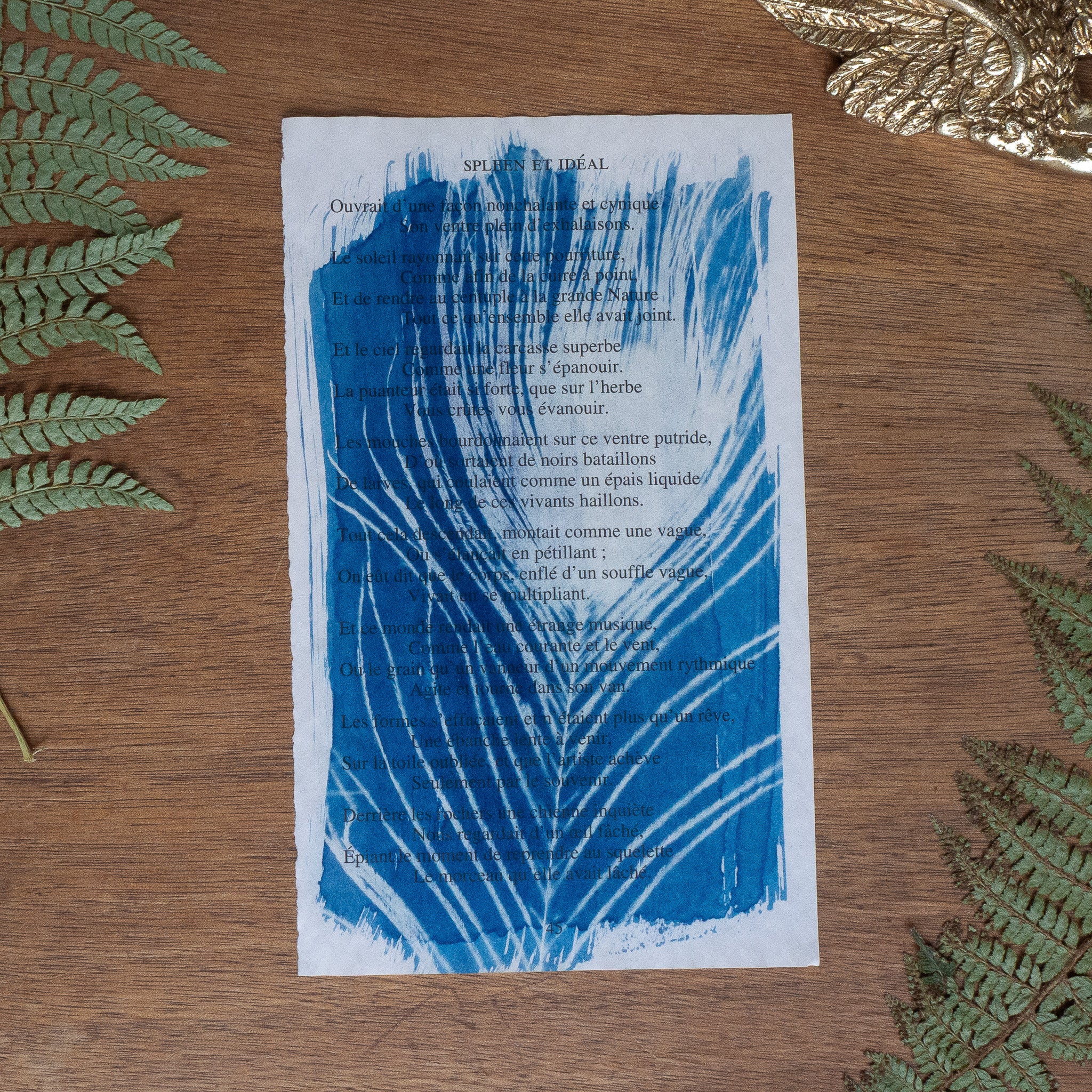 Cyanotype sur poésie - Les Fleurs Du Mal / Spleen Et Idéal