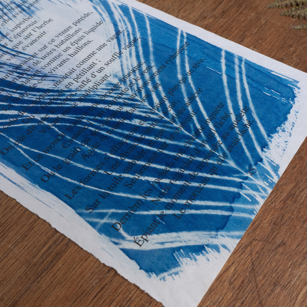 Cyanotype sur poésie - Les Fleurs Du Mal / Spleen Et Idéal
