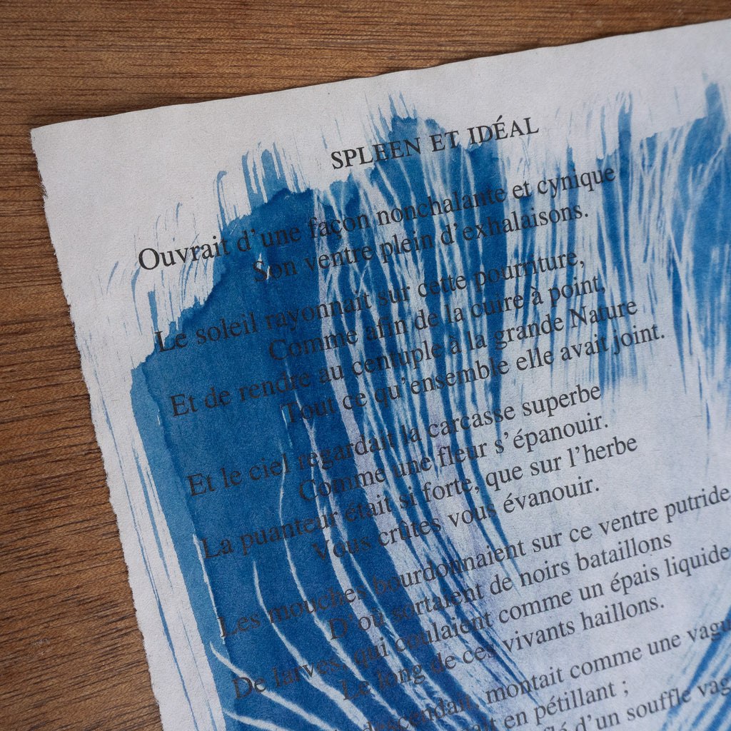 Cyanotype sur poésie - Les Fleurs Du Mal / Spleen Et Idéal