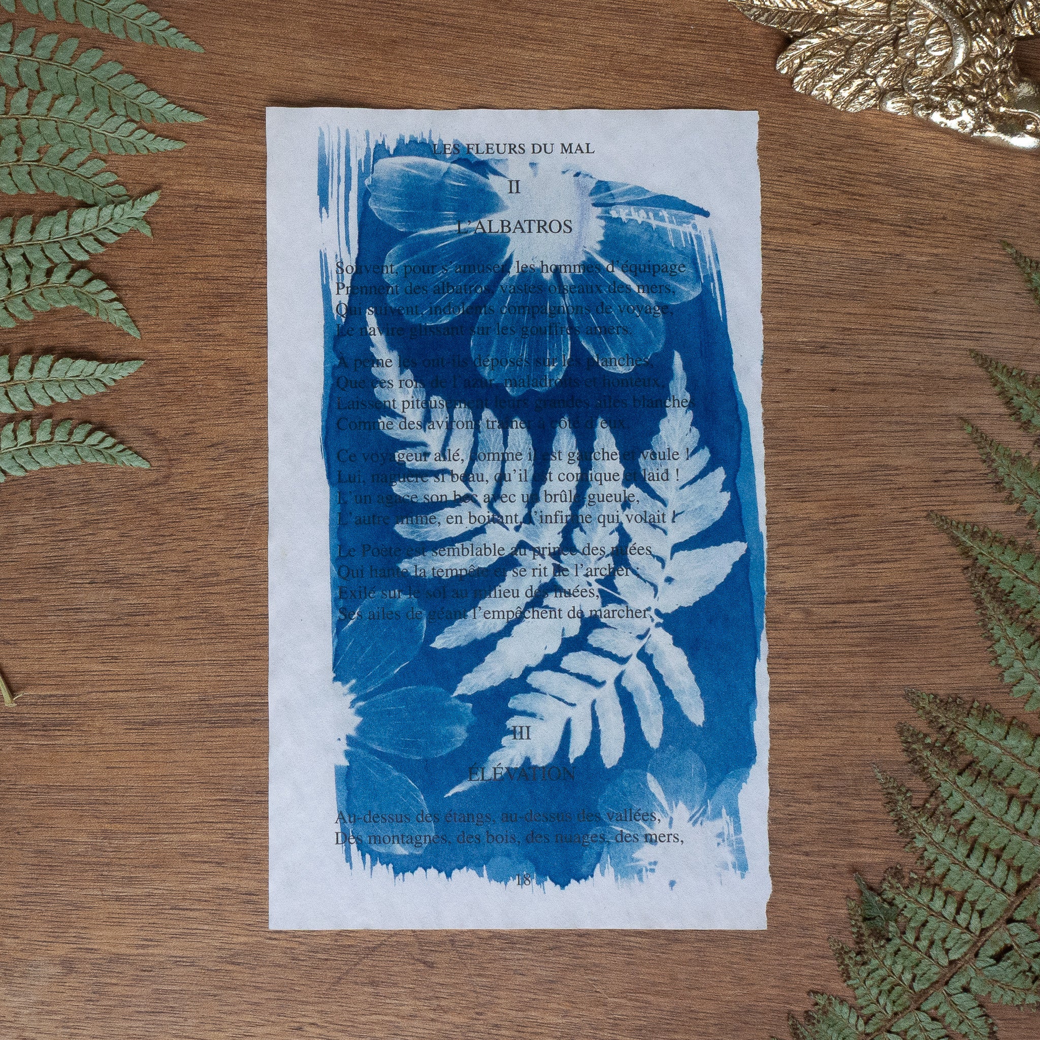 Cyanotype sur poésie - L'Albatros
