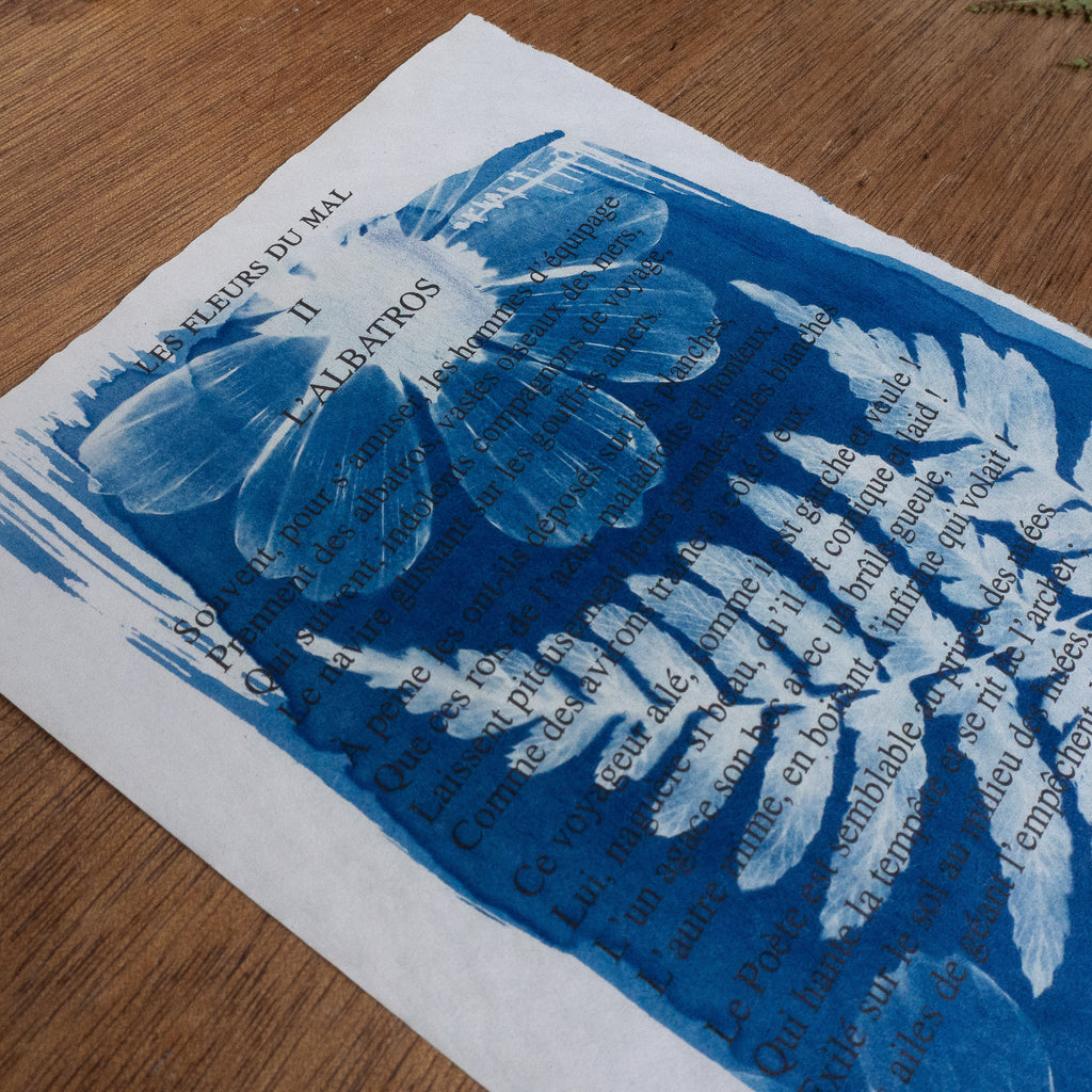 Cyanotype sur poésie - L'Albatros